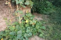 查看照片详细信息 天下民宿