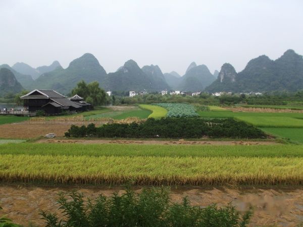 查看照片详细信息 天下民宿