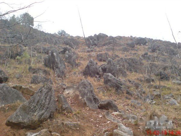 查看照片详细信息 天下民宿