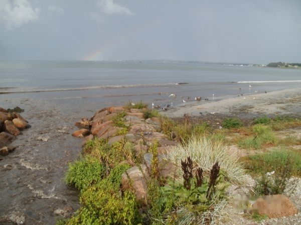 查看照片详细信息 天下民宿