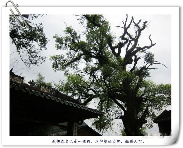 查看照片详细信息 天下民宿