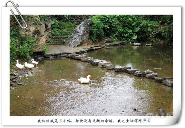 查看照片详细信息 天下民宿