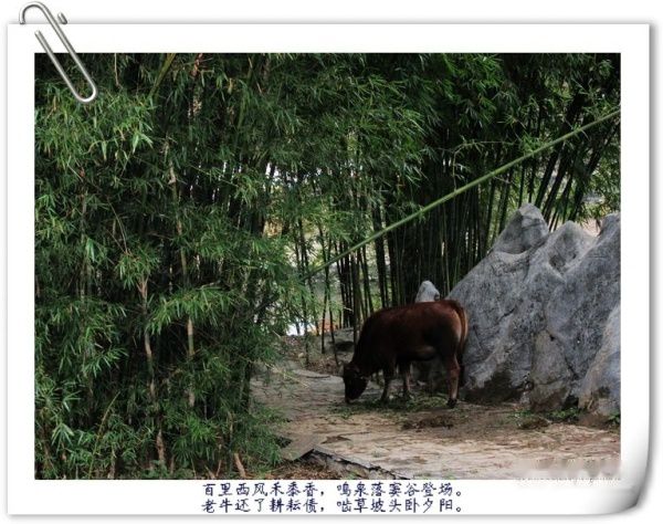 查看照片详细信息 天下民宿