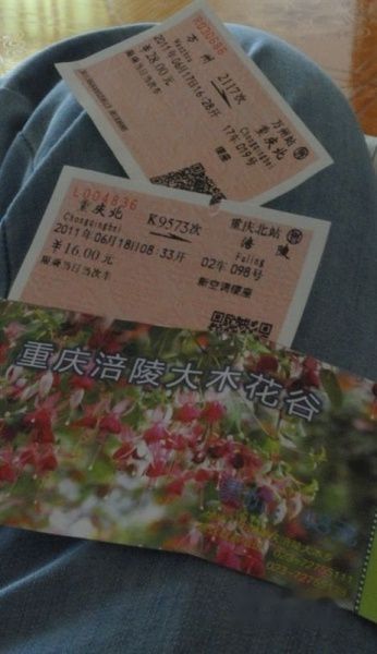 查看照片详细信息 天下民宿