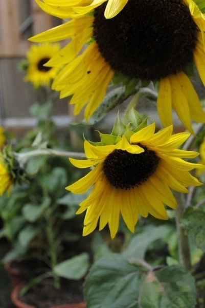 查看照片详细信息 天下民宿