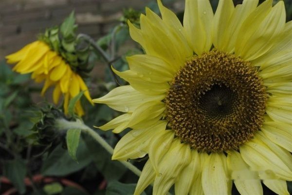 查看照片详细信息 天下民宿