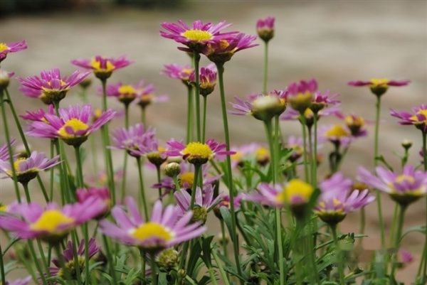 查看照片详细信息 天下民宿