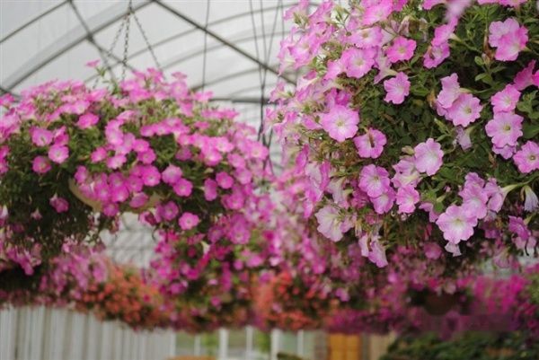 查看照片详细信息 天下民宿