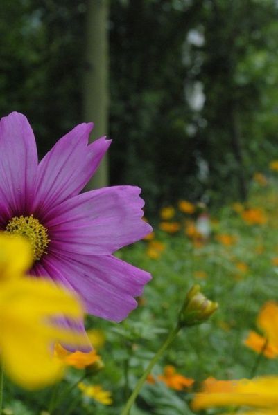 查看照片详细信息 天下民宿