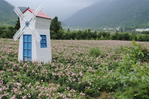 查看照片详细信息 天下民宿