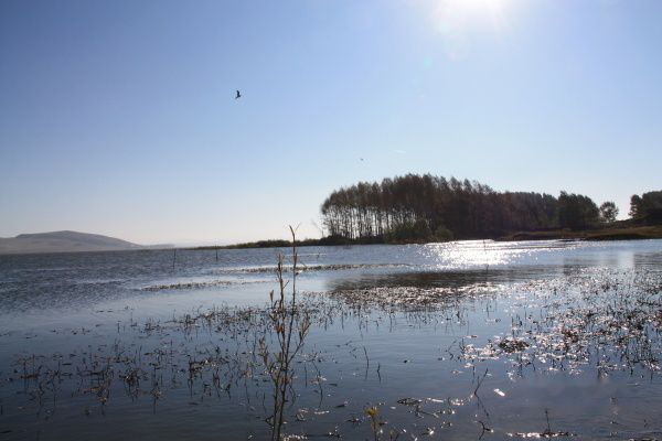 查看照片详细信息 天下民宿
