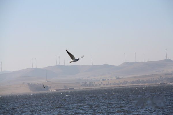 查看照片详细信息 天下民宿