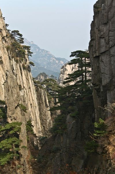 查看照片详细信息 天下民宿