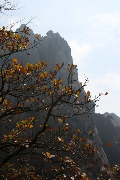 查看照片详细信息 天下民宿