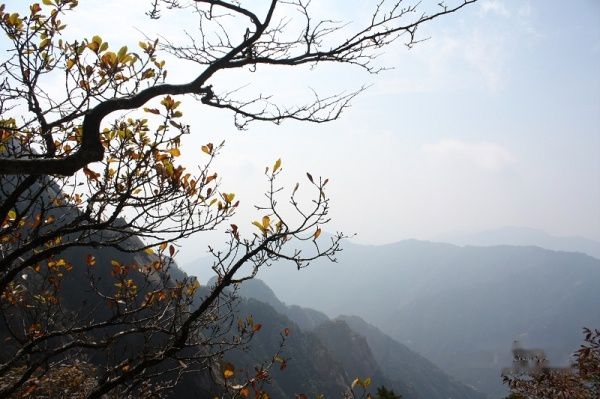 查看照片详细信息 天下民宿