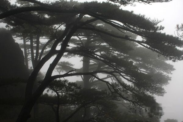 查看照片详细信息 天下民宿