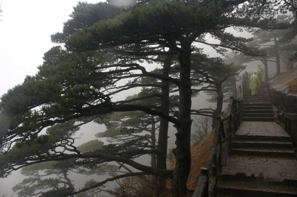 查看照片详细信息 天下民宿