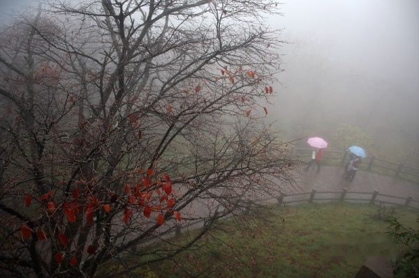 查看照片详细信息 天下民宿