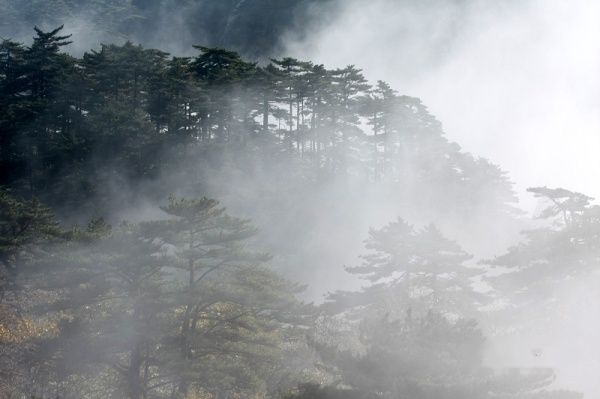 查看照片详细信息 天下民宿