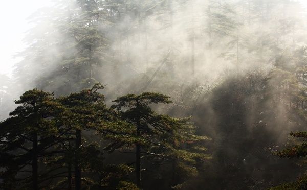 查看照片详细信息 天下民宿