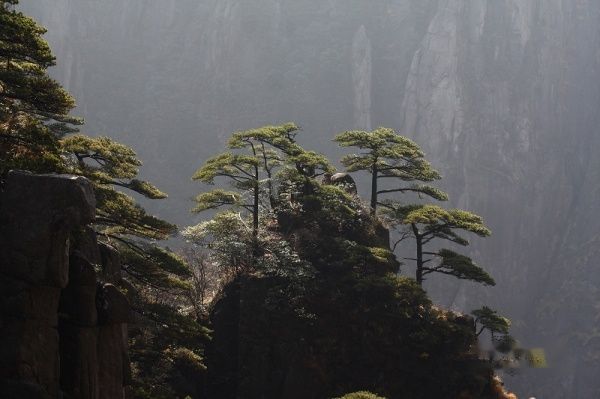 查看照片详细信息 天下民宿