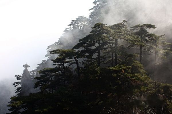 查看照片详细信息 天下民宿