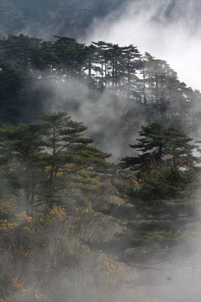 查看照片详细信息 天下民宿