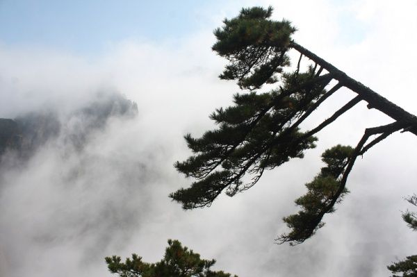 查看照片详细信息 天下民宿