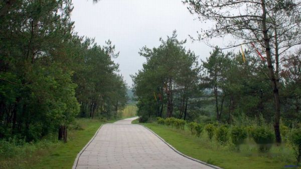 查看照片详细信息 天下民宿