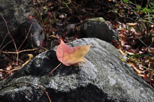查看照片详细信息 天下民宿