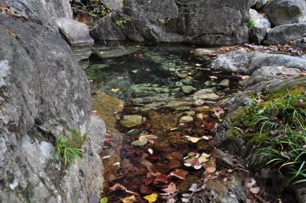 查看照片详细信息 天下民宿