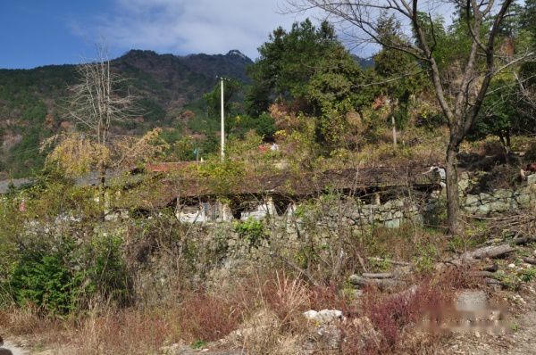 查看照片详细信息 天下民宿