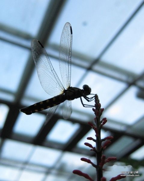 查看照片详细信息 天下民宿