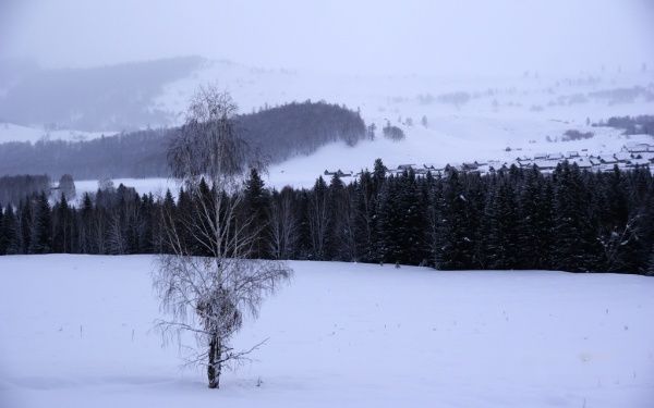 查看照片详细信息 天下民宿
