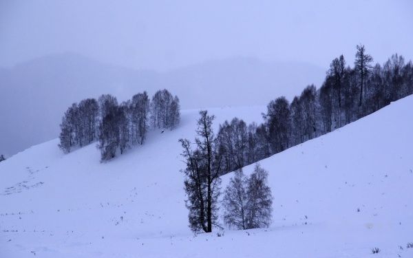 查看照片详细信息 天下民宿