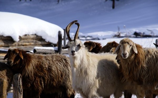 查看照片详细信息 天下民宿