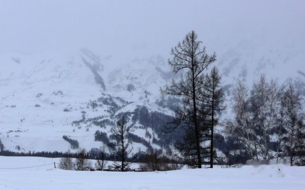 查看照片详细信息 天下民宿