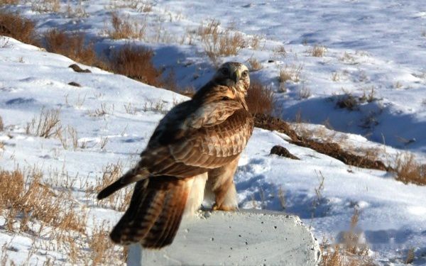 查看照片详细信息 天下民宿