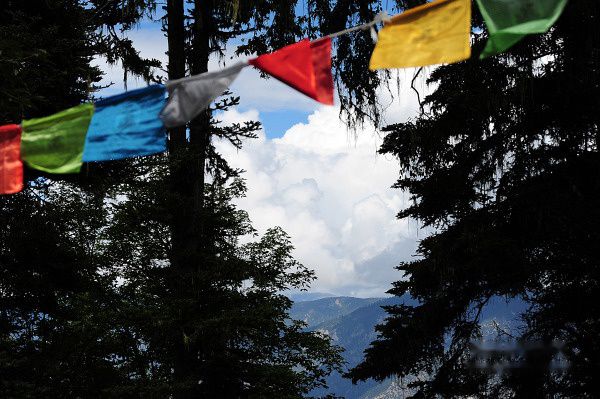 查看照片详细信息 天下民宿