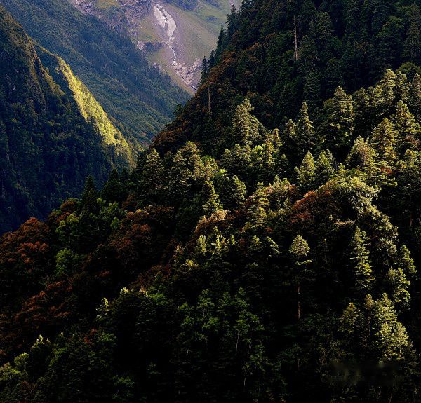 查看照片详细信息 天下民宿