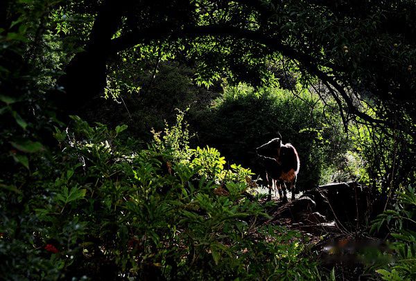 查看照片详细信息 天下民宿