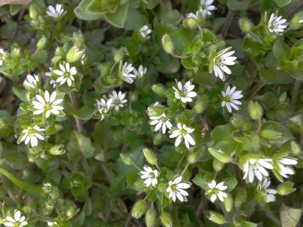 查看照片详细信息 天下民宿