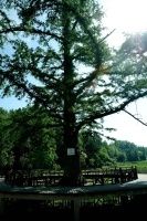 查看照片详细信息 天下民宿