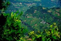 查看照片详细信息 天下民宿