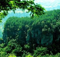 查看照片详细信息 天下民宿