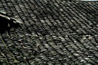 查看照片详细信息 天下民宿