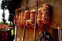 查看照片详细信息 天下民宿