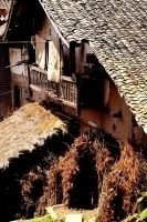 查看照片详细信息 天下民宿