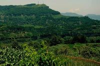 查看照片详细信息 天下民宿