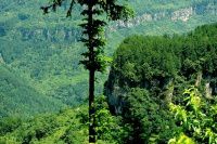 查看照片详细信息 天下民宿